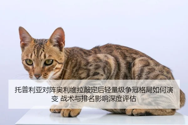 tuo-pu-li-ya-dui-zhen-ao-li-wei-la-qiao-ding-hou-qing-liang-ji-zheng-guan-ge-ju-ru-he-yan-bian-zhan-shu-yu-pai-ming-2-752.jpg